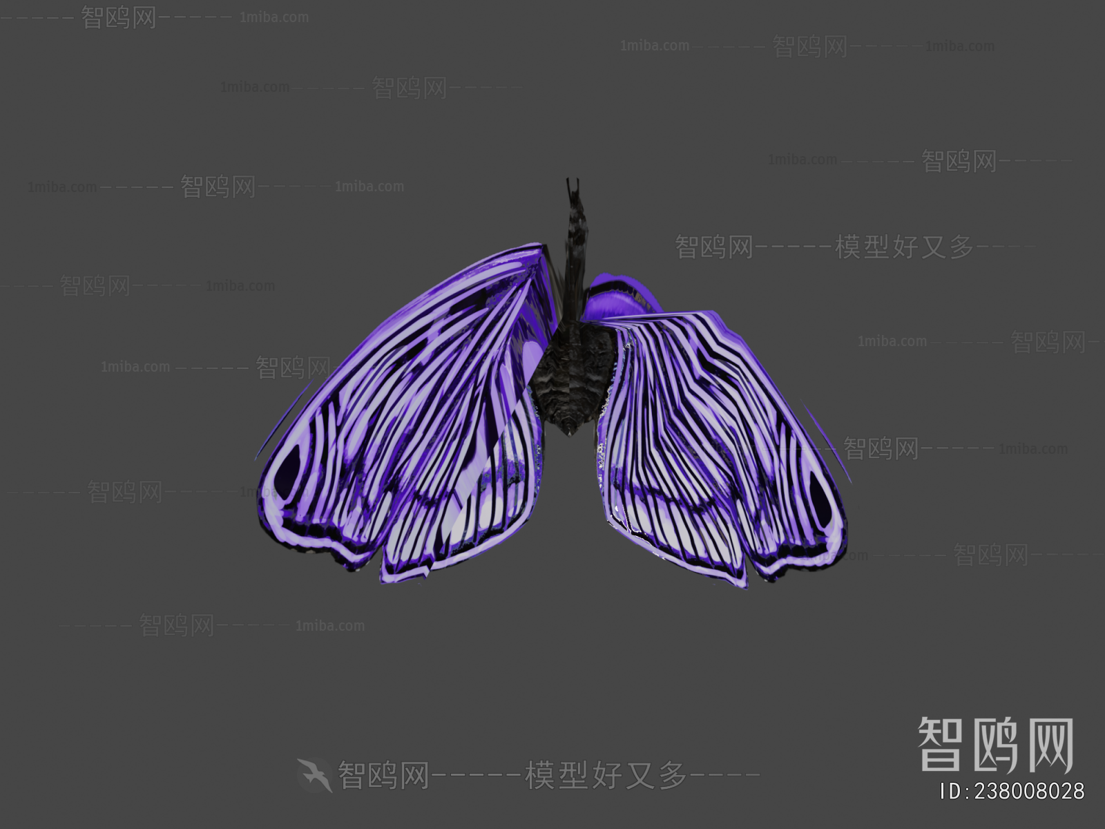 Modern Flying Animals