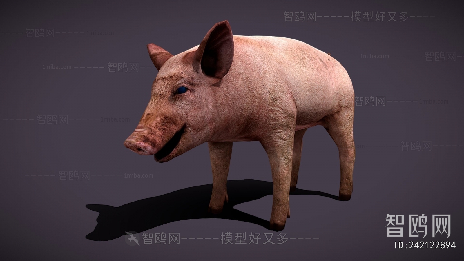 Modern Animal Pig