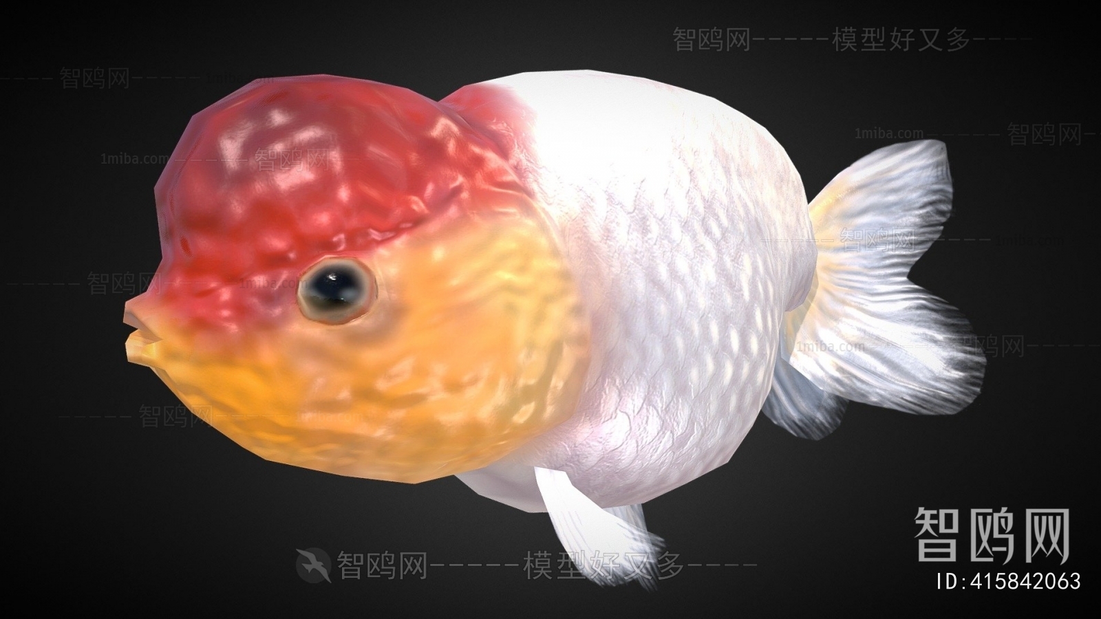 Modern Aquatic Animals
