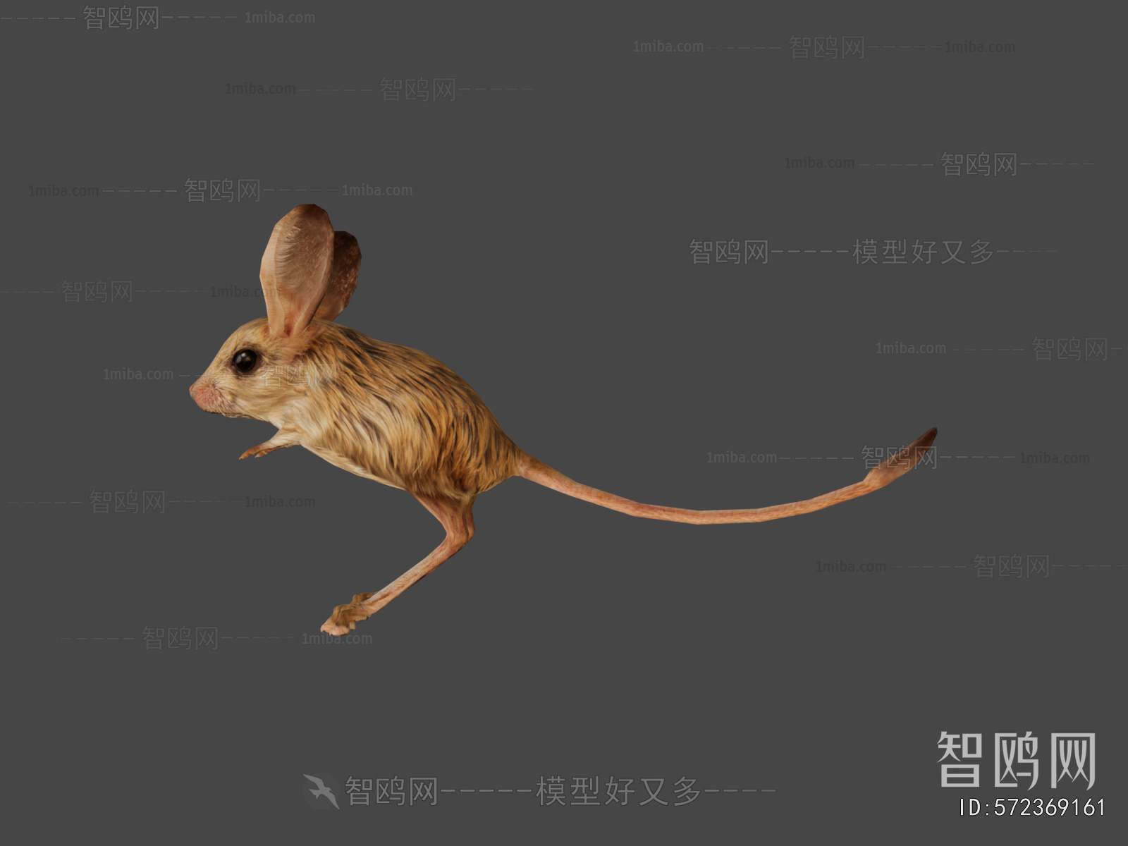 Modern Mammal