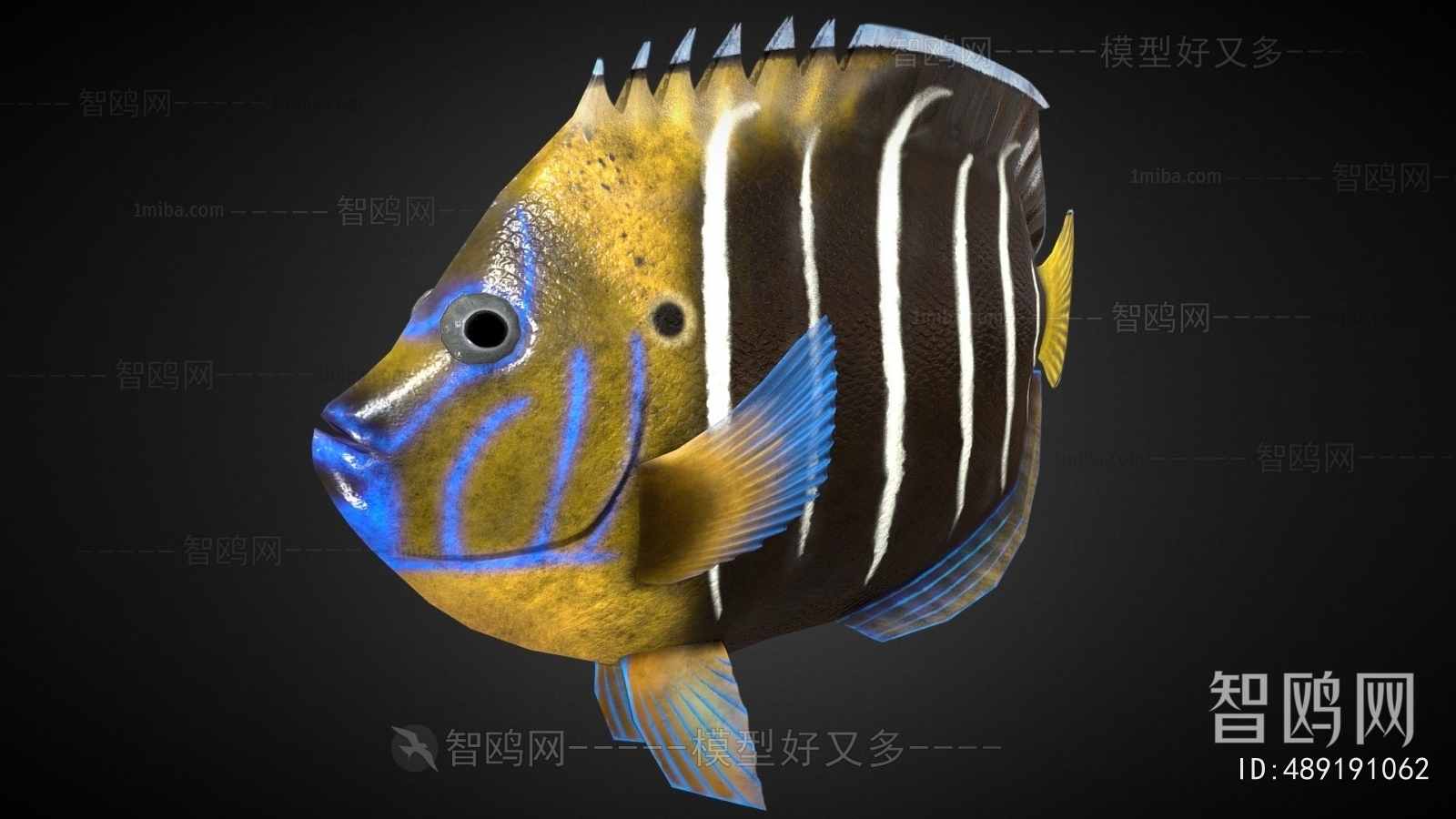 Modern Aquatic Animals