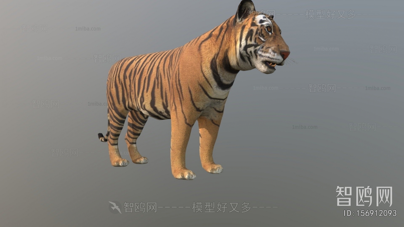 Modern Animal