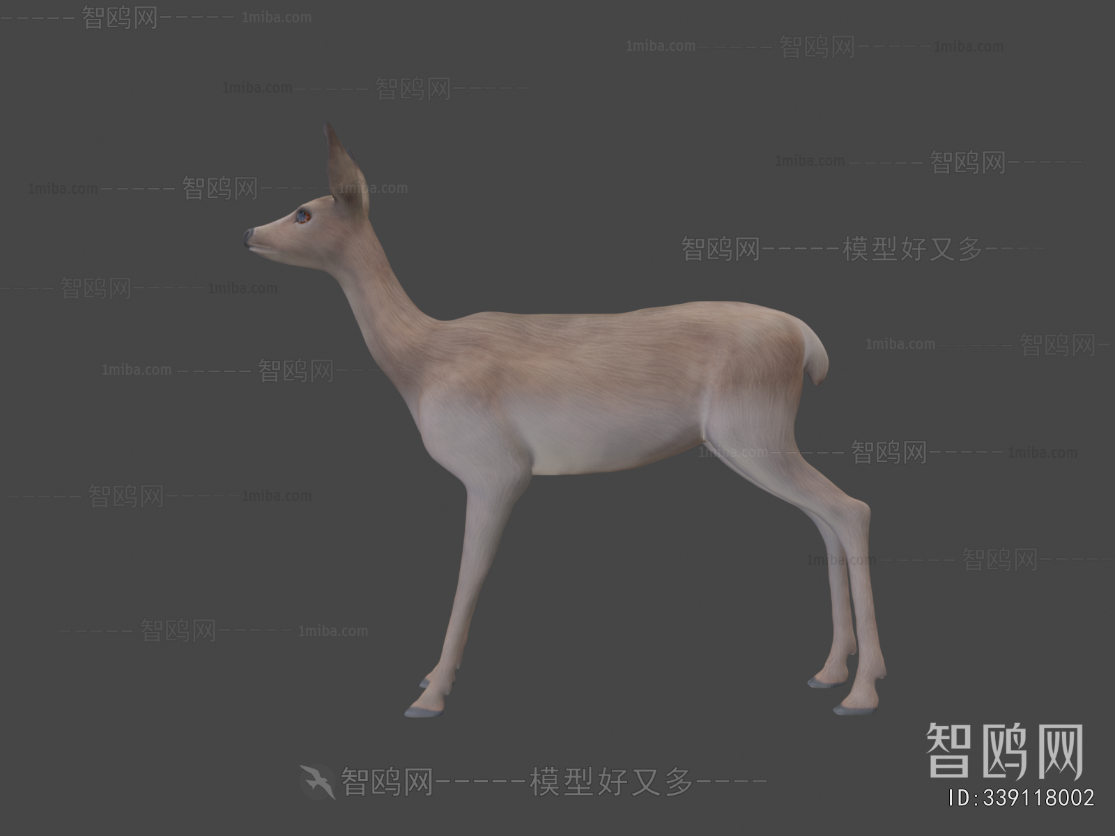 Modern Animal