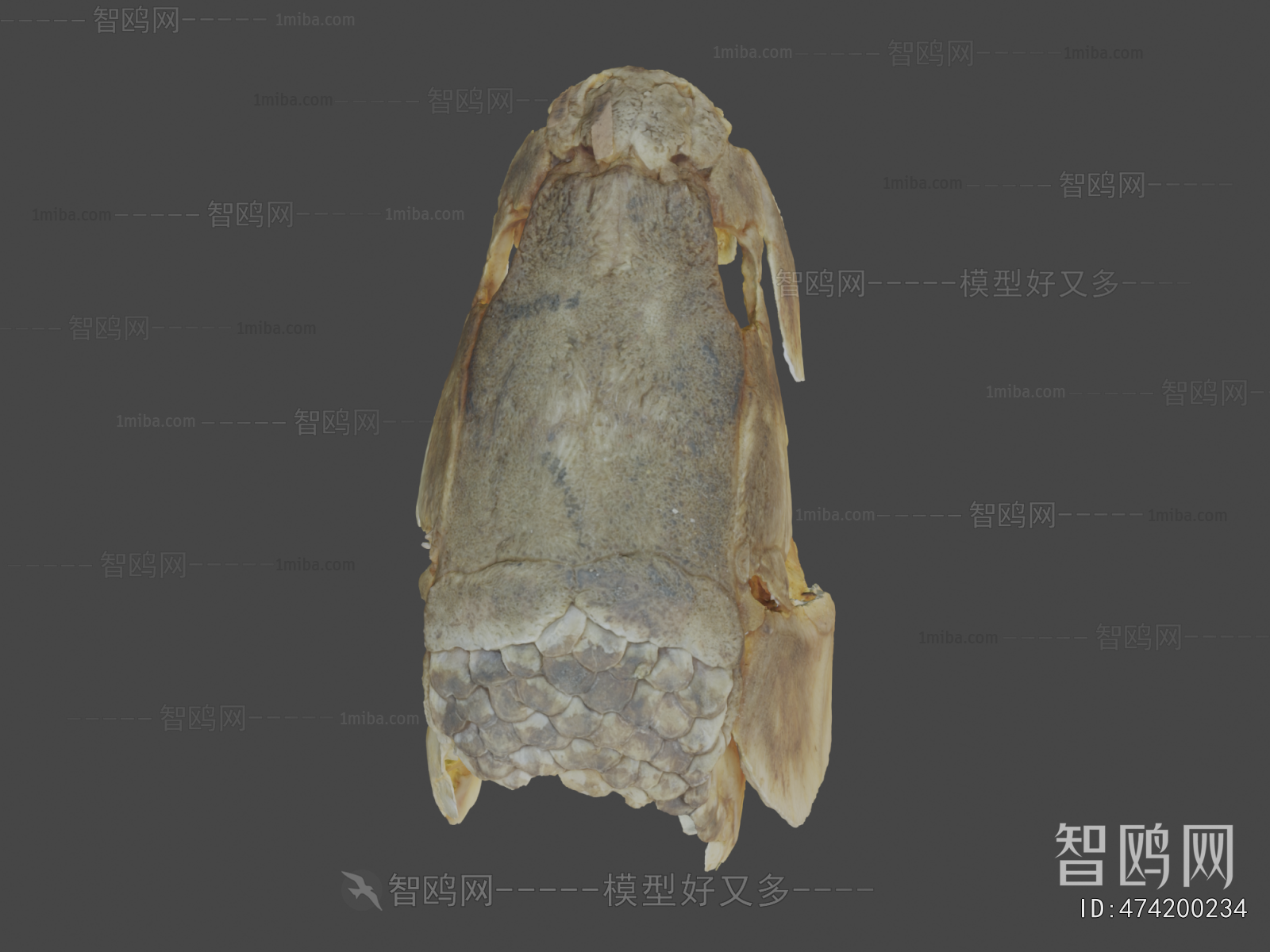 Modern Medical Equipment