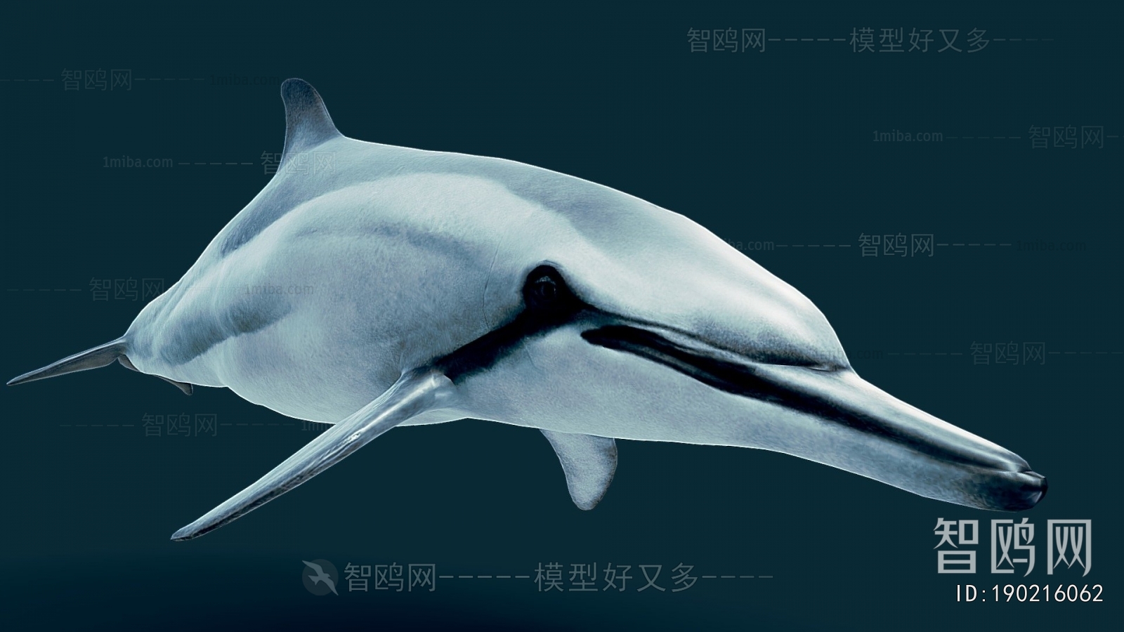 Modern Aquatic Animals