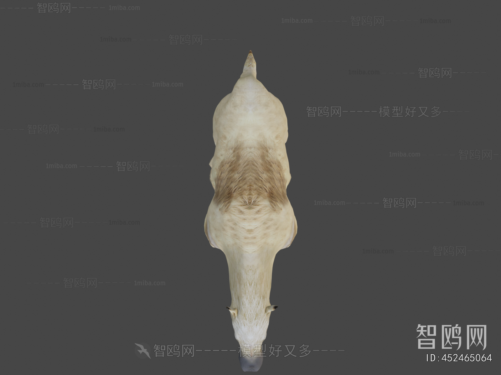 Modern Mammal