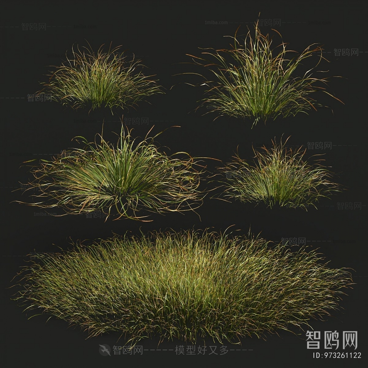 Modern The Grass