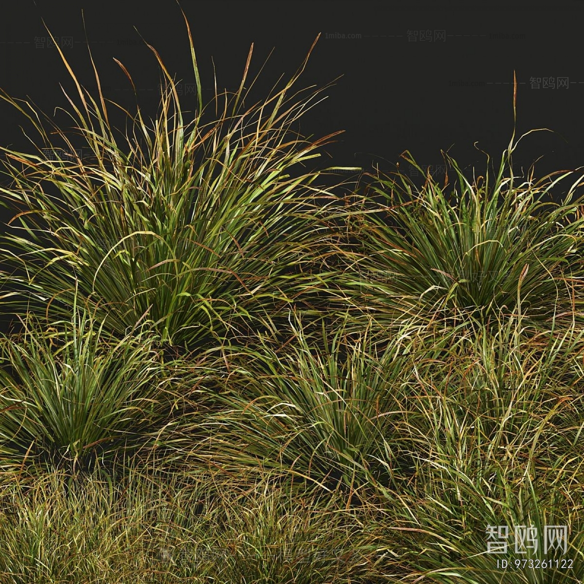 Modern The Grass