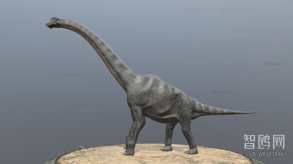 Modern Animal
