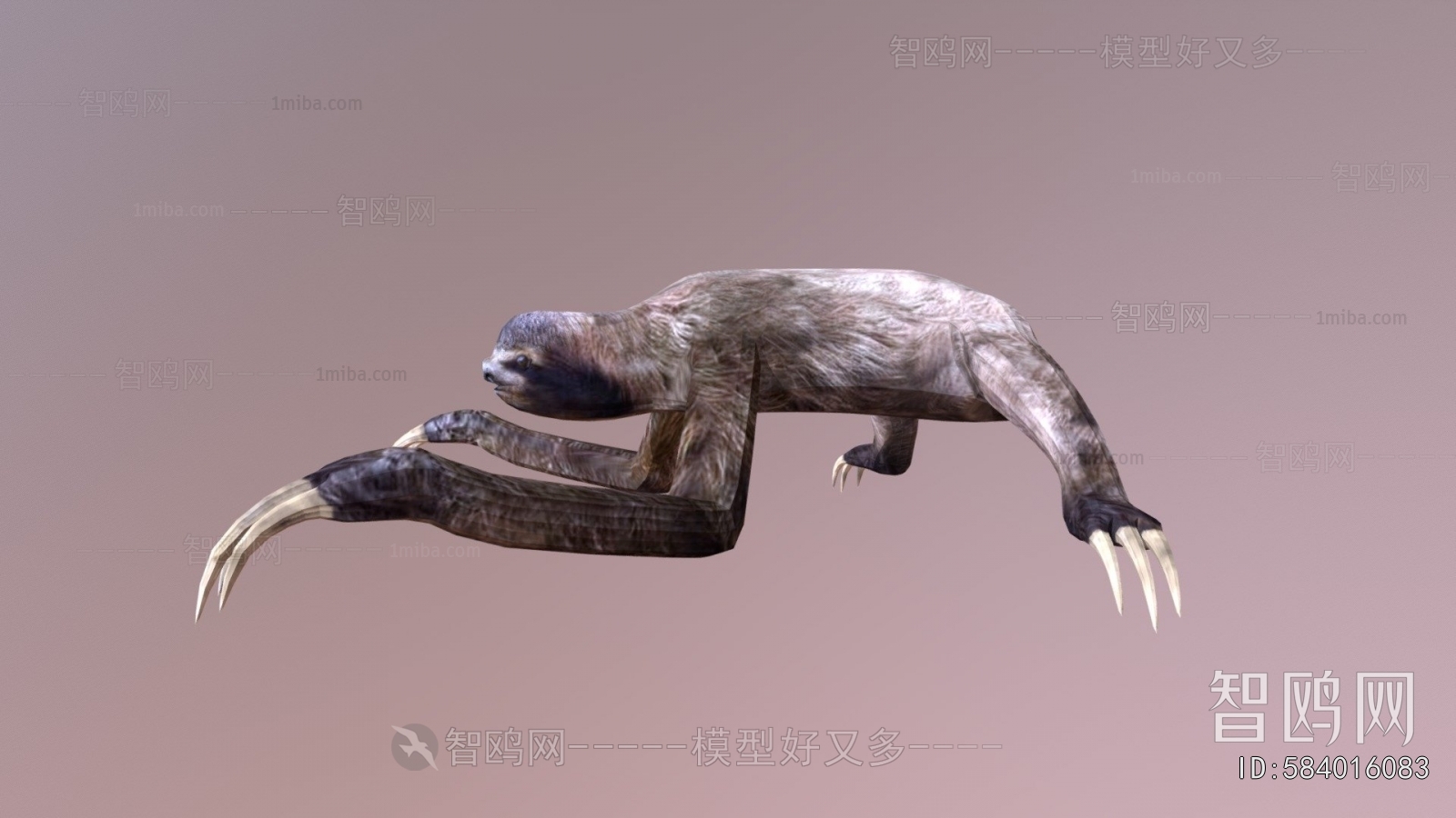 Modern Mammal