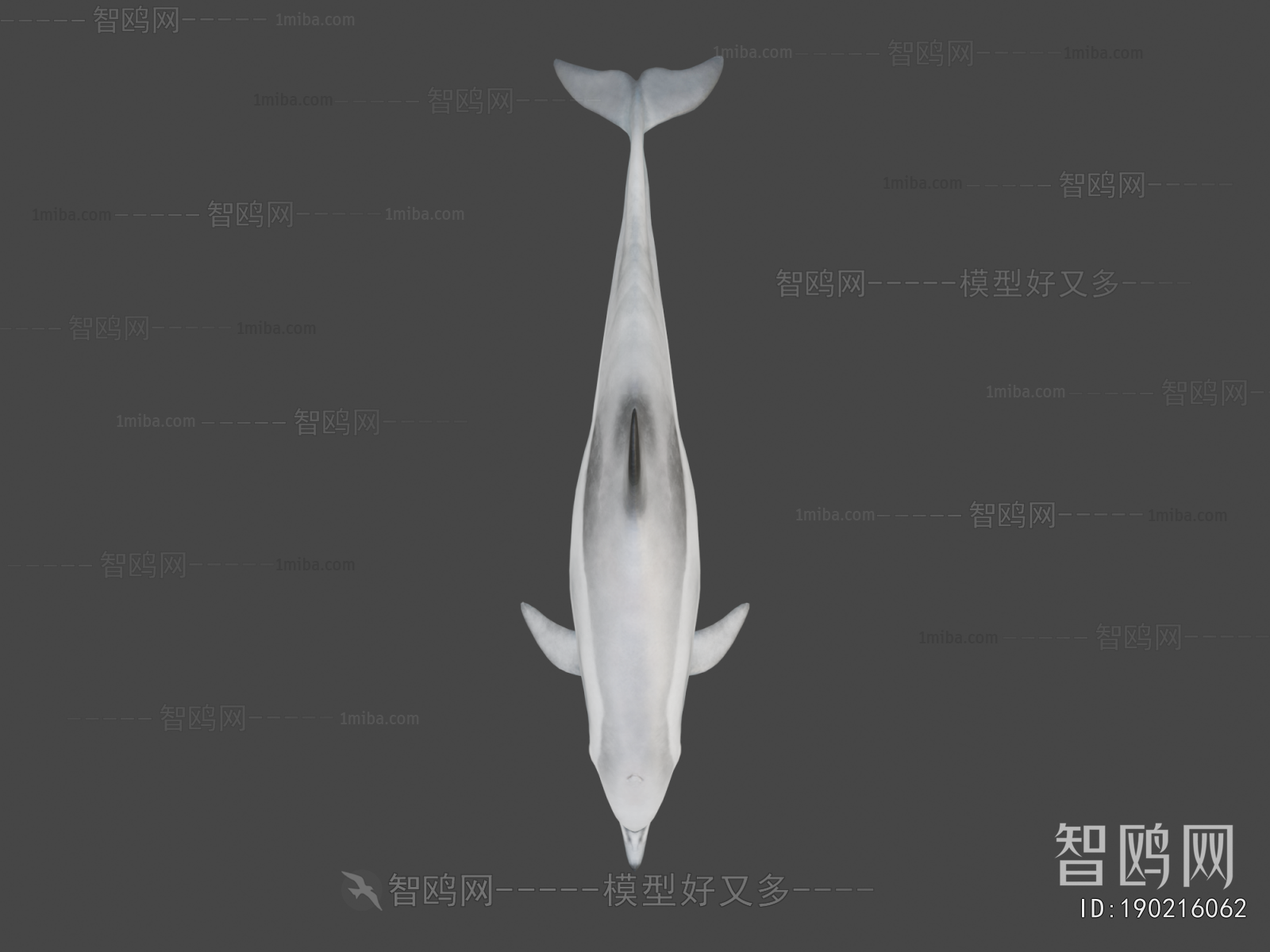 Modern Aquatic Animals