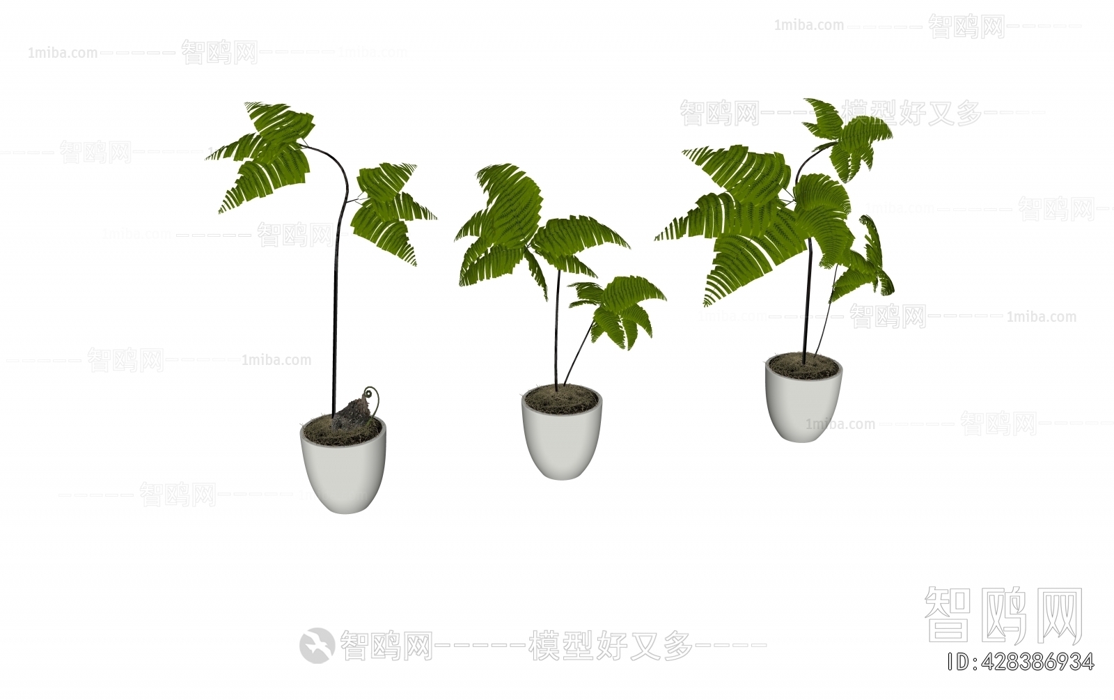 Modern Ground Green Plant Potted Plants
