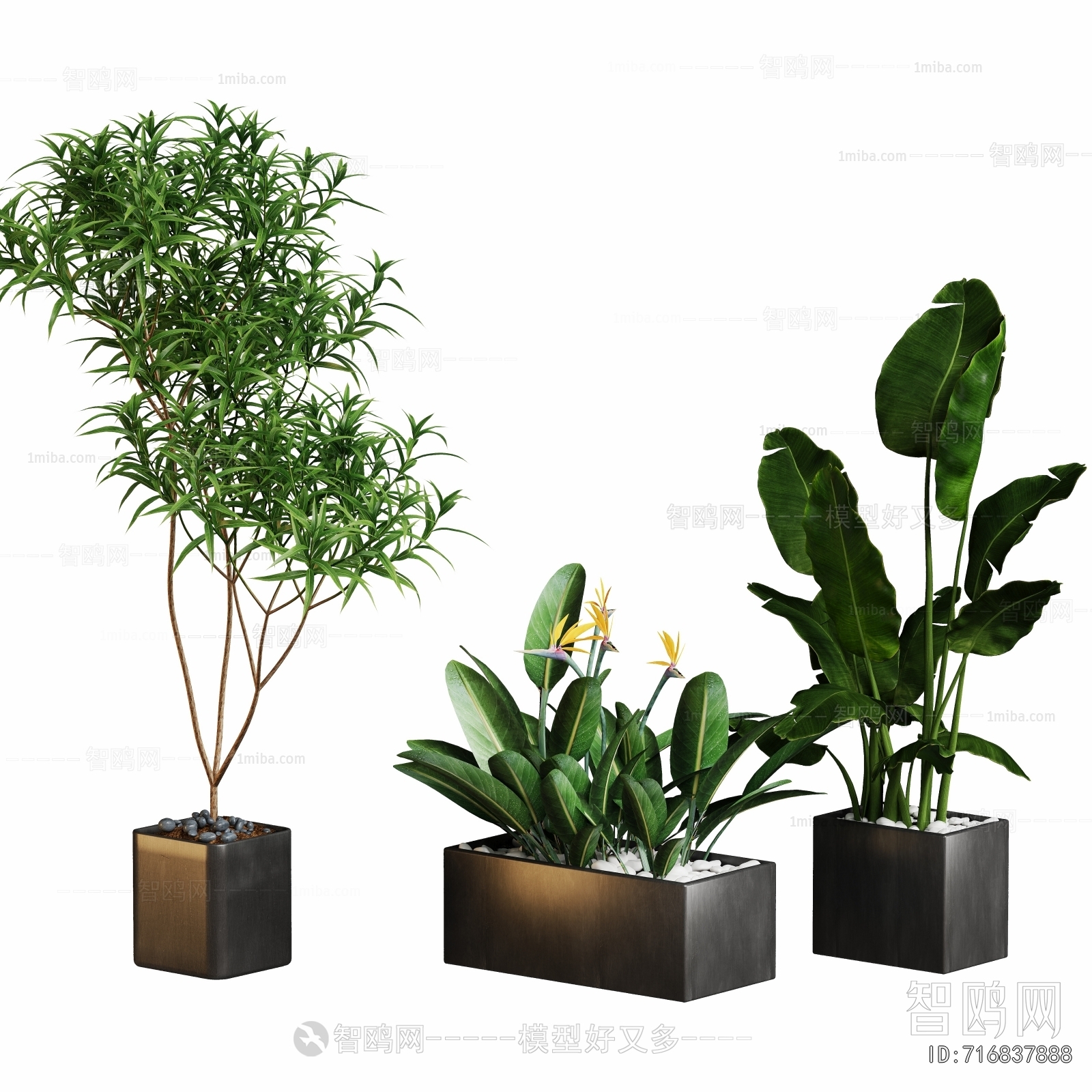 Modern Ground Green Plant Potted Plants