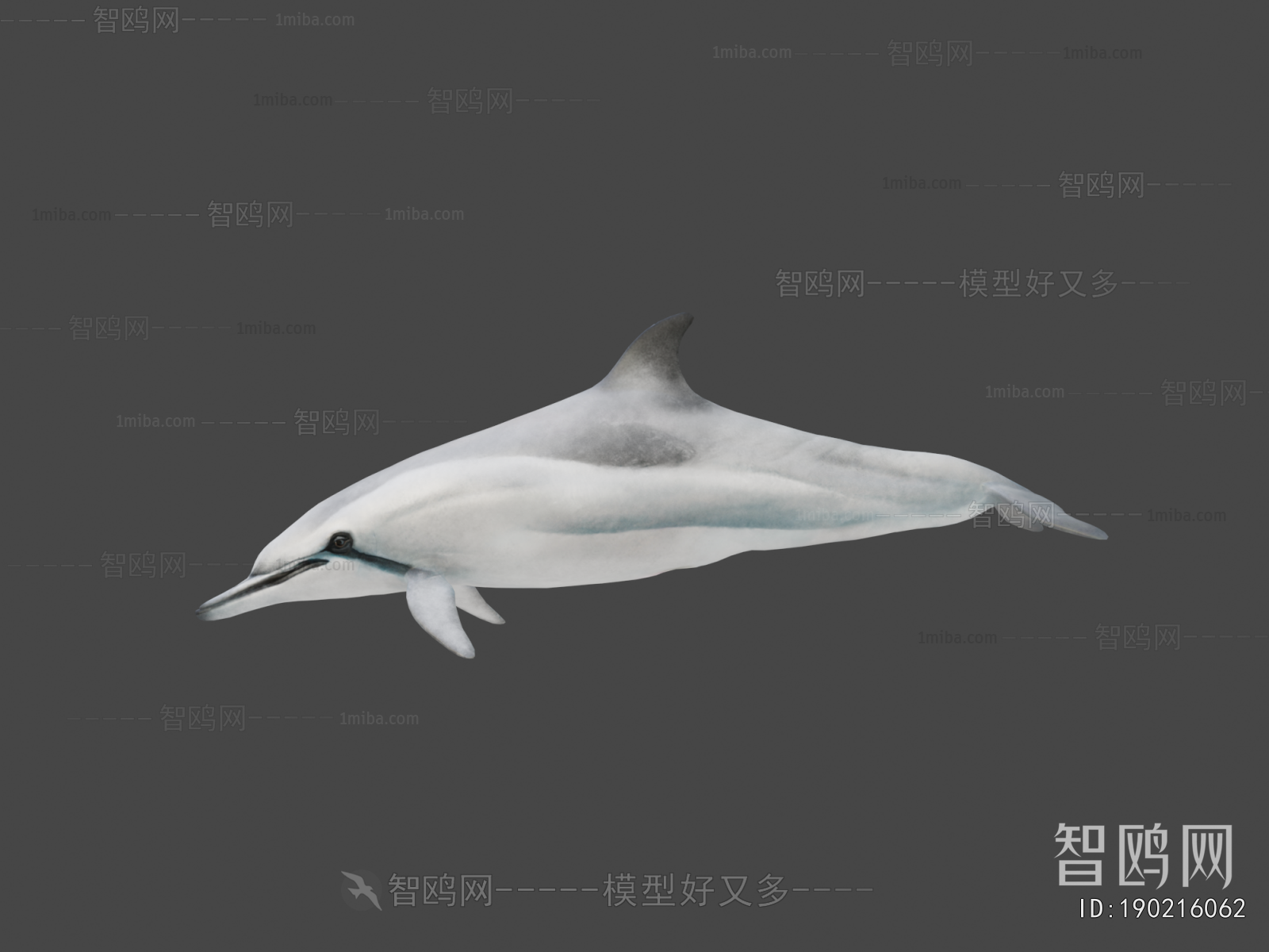 Modern Aquatic Animals