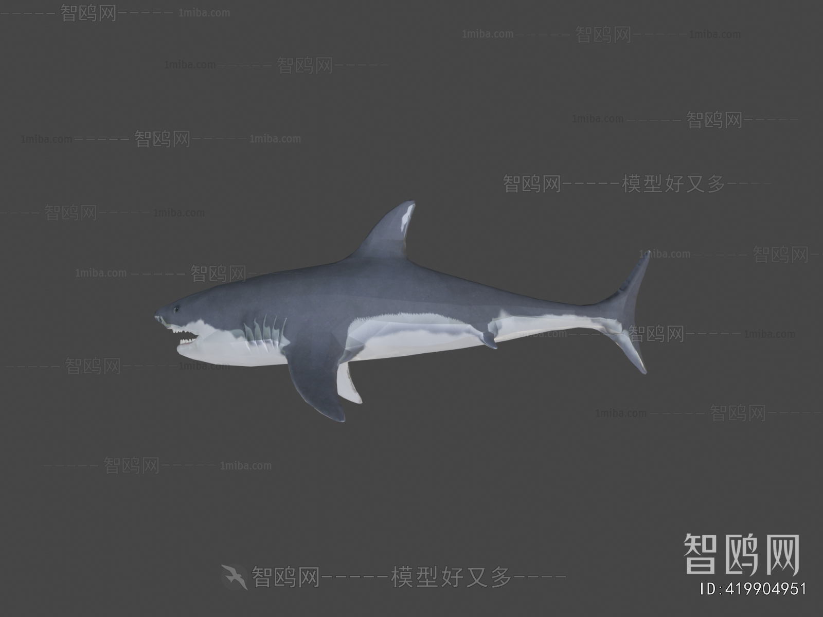 Modern Aquatic Animals