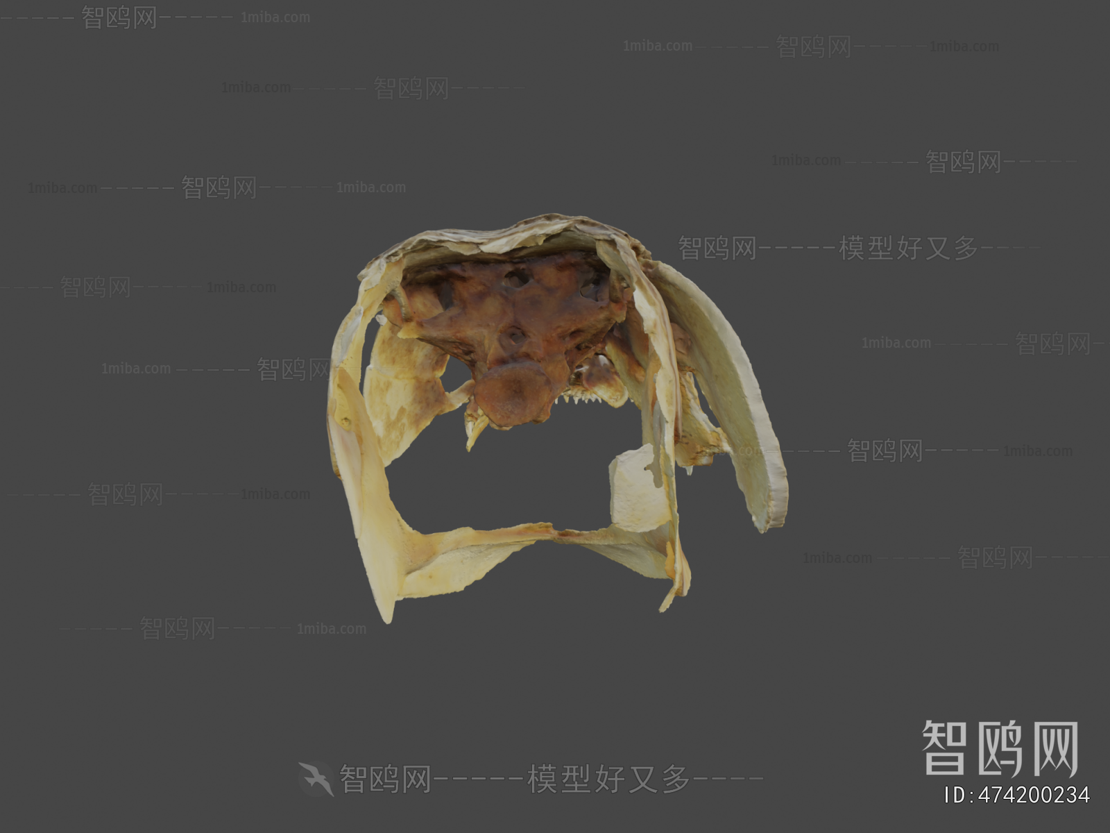 Modern Medical Equipment