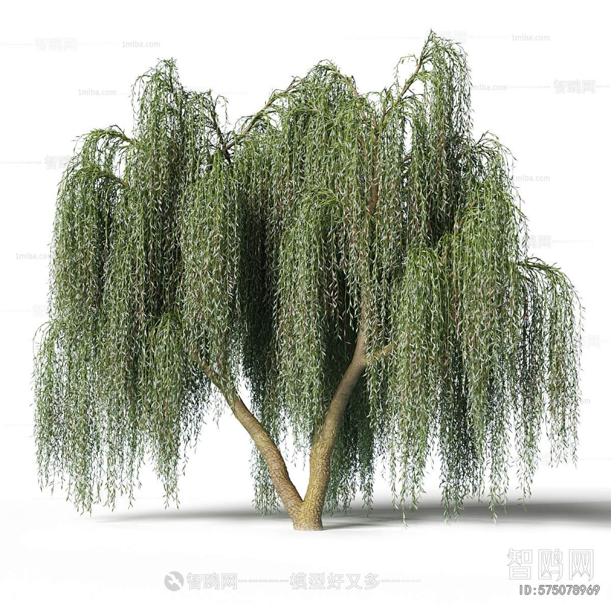 Modern Tree