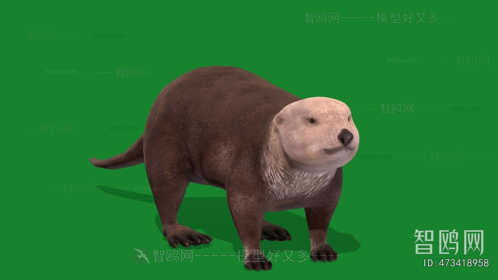 Modern Mammal