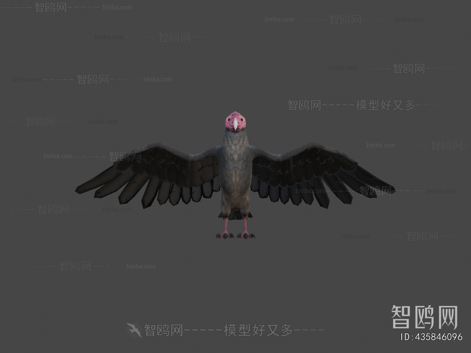 Modern Flying Animals