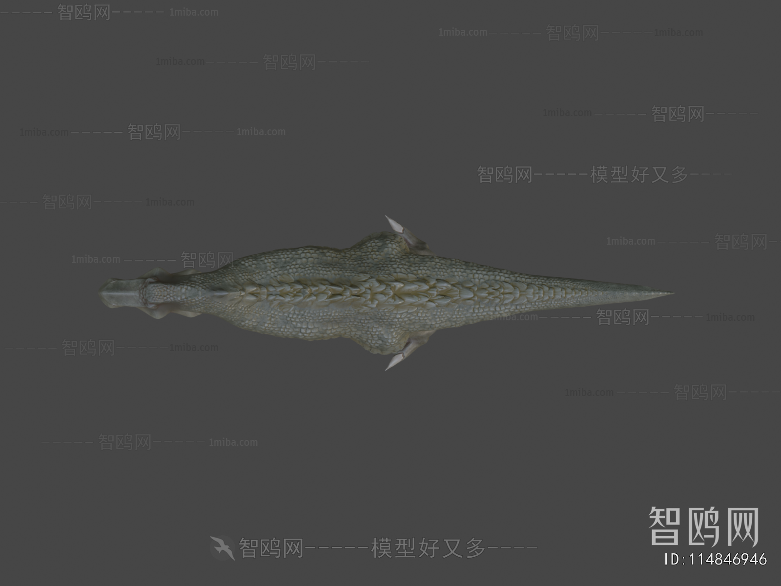 Modern Animal
