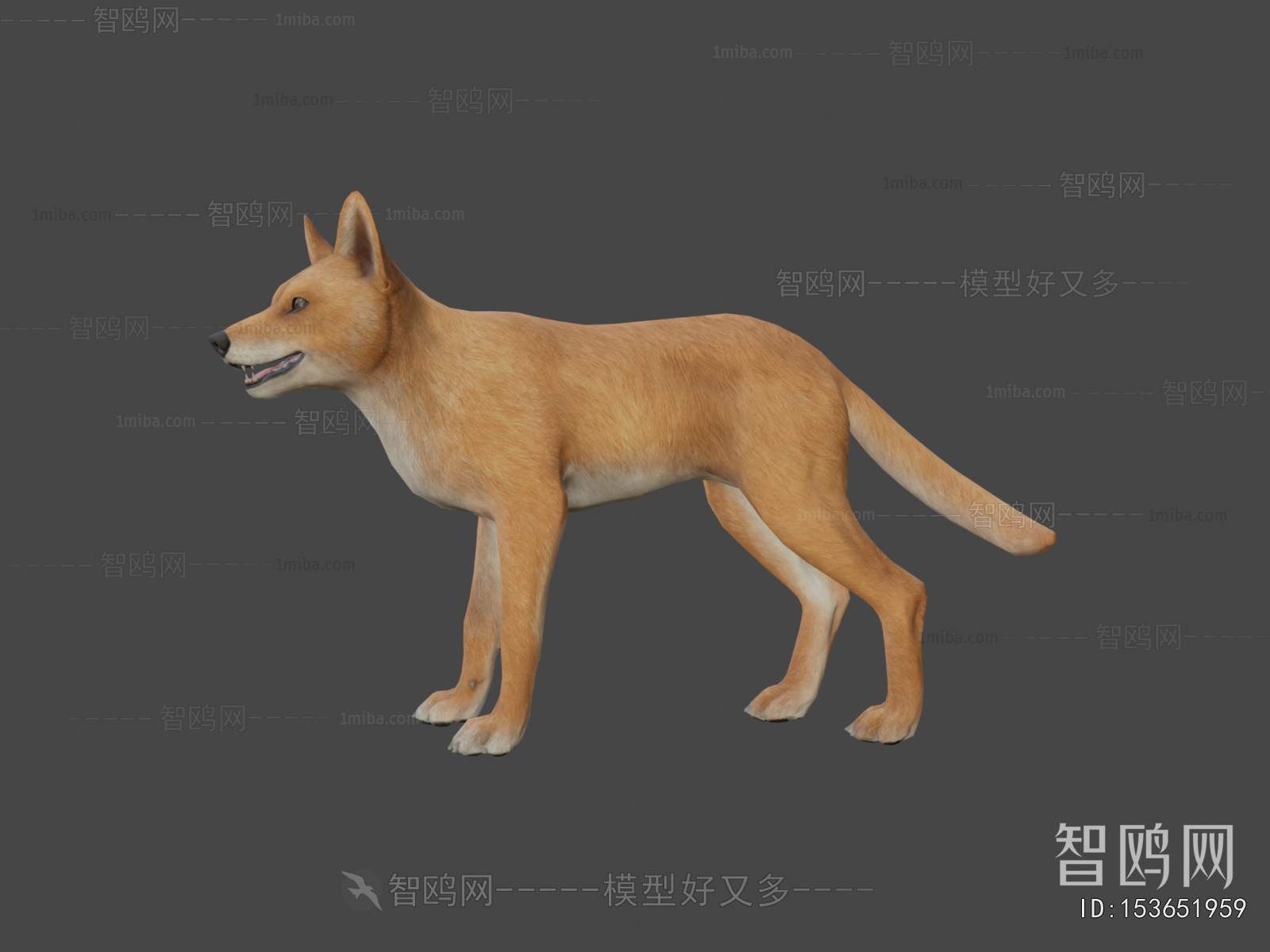 Modern Animal Dog