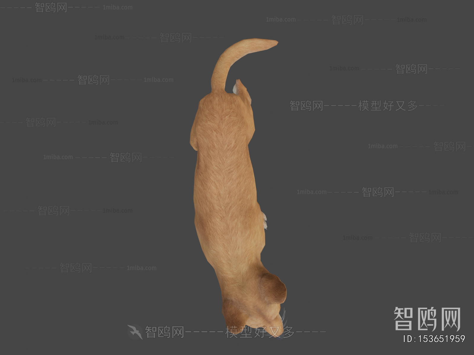 Modern Animal Dog