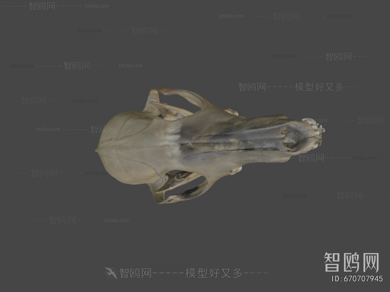 Modern Medical Equipment