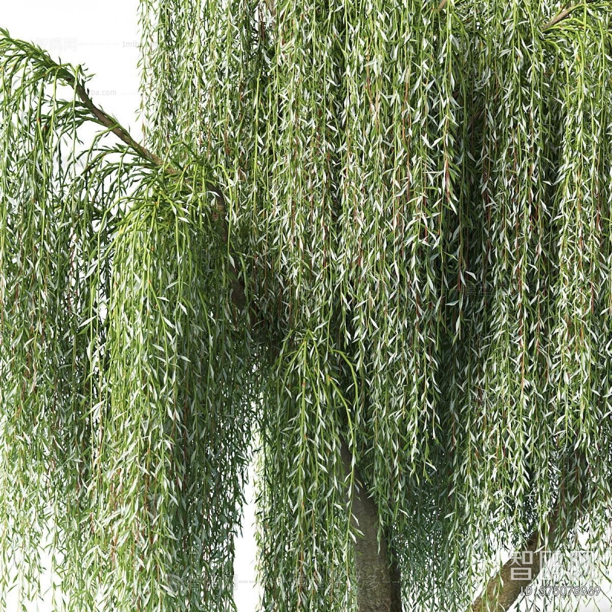 Modern Tree