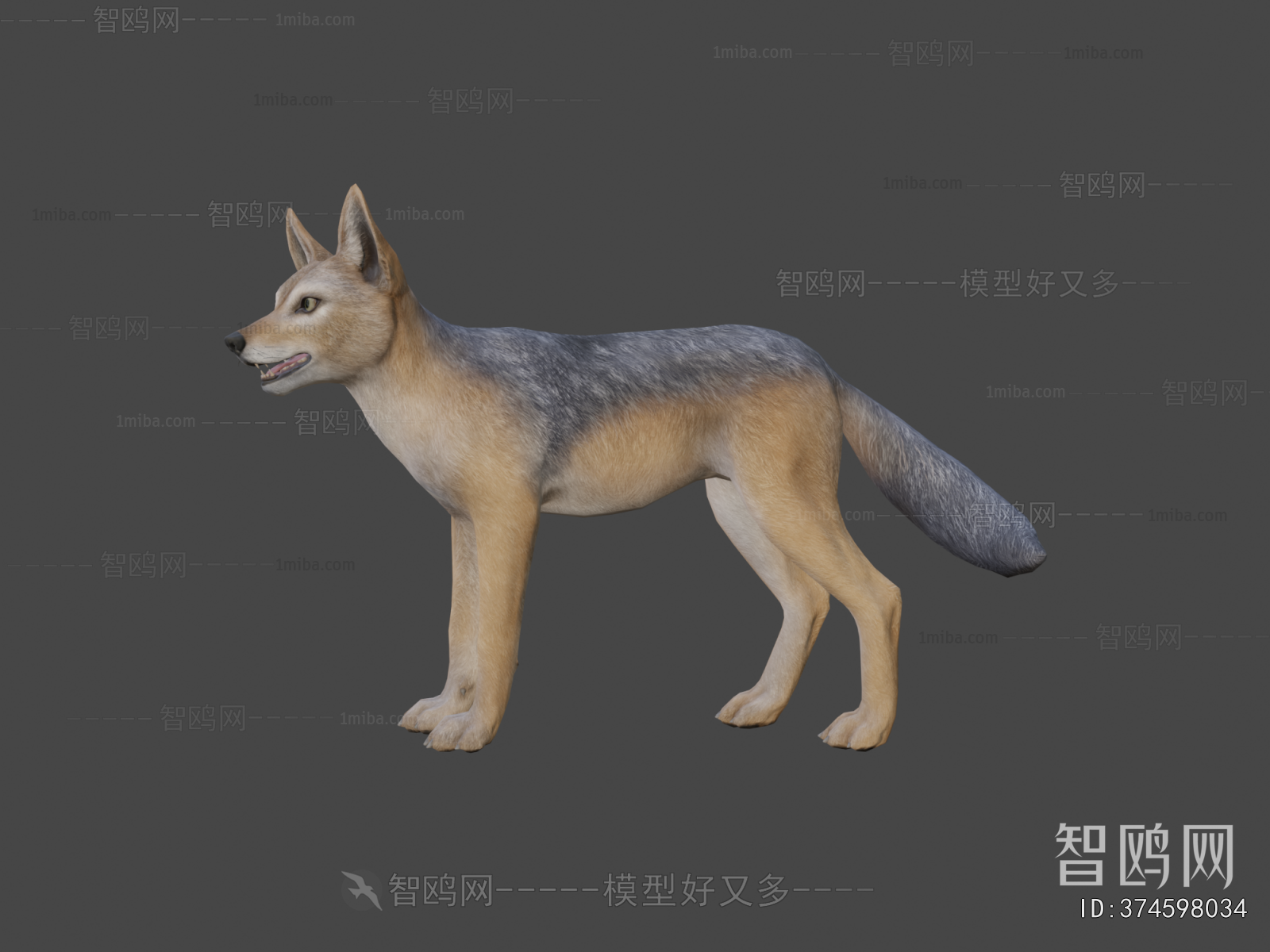 Modern Mammal