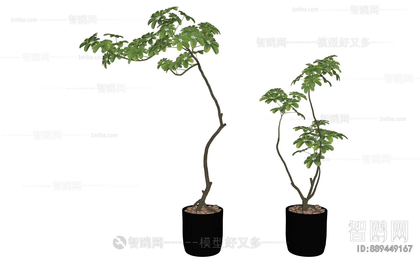 Modern Ground Green Plant Potted Plants