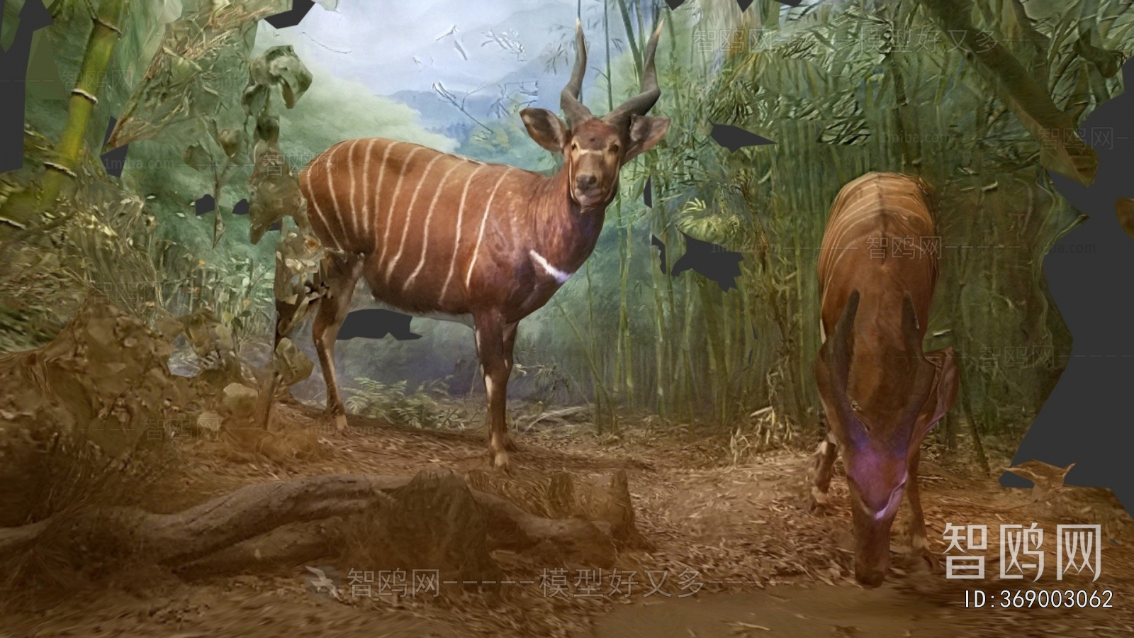 Modern Animal