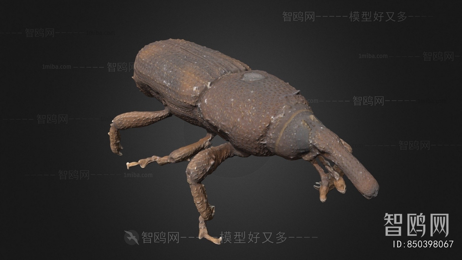 Modern Animal