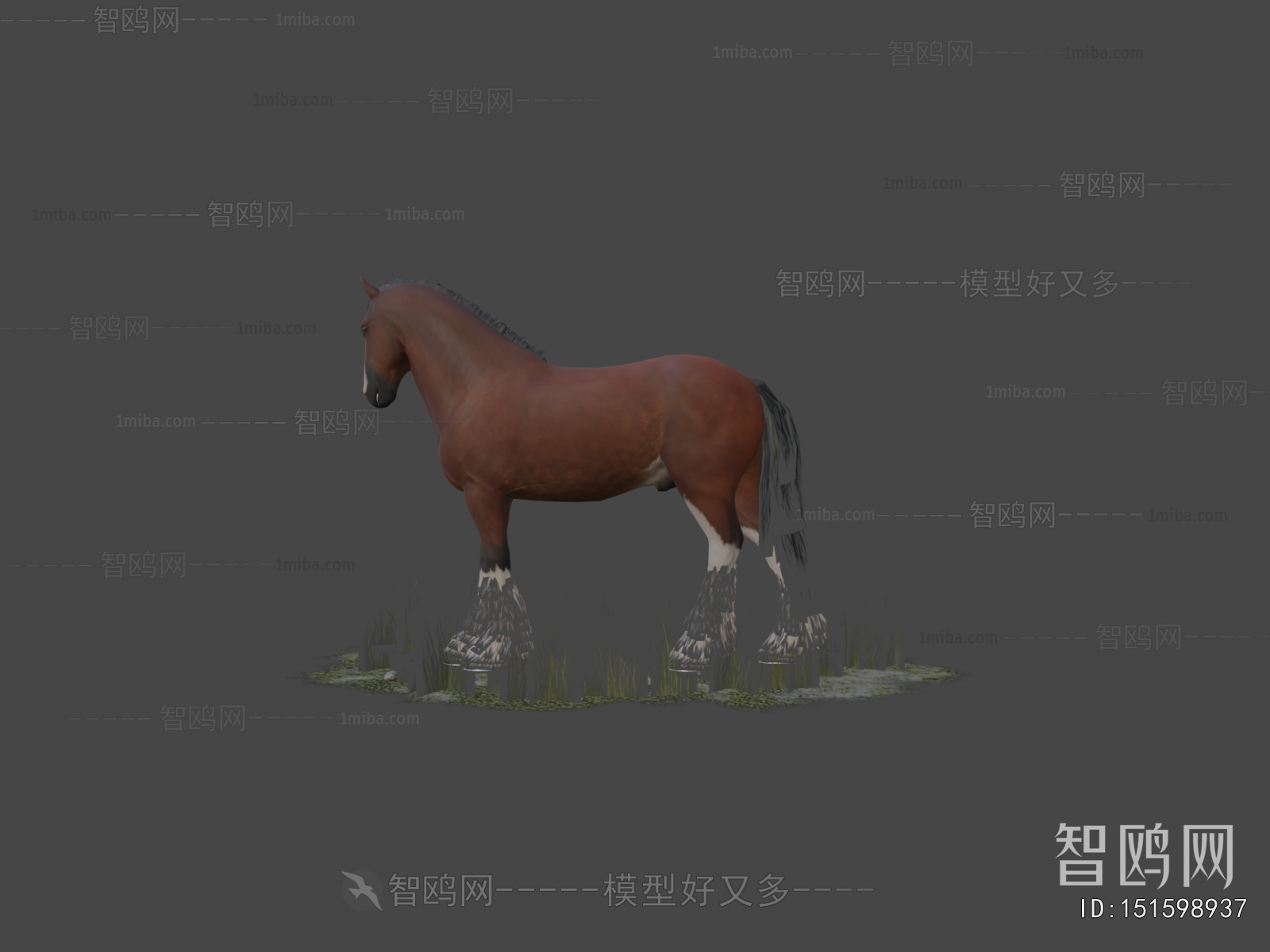 Modern Mammal