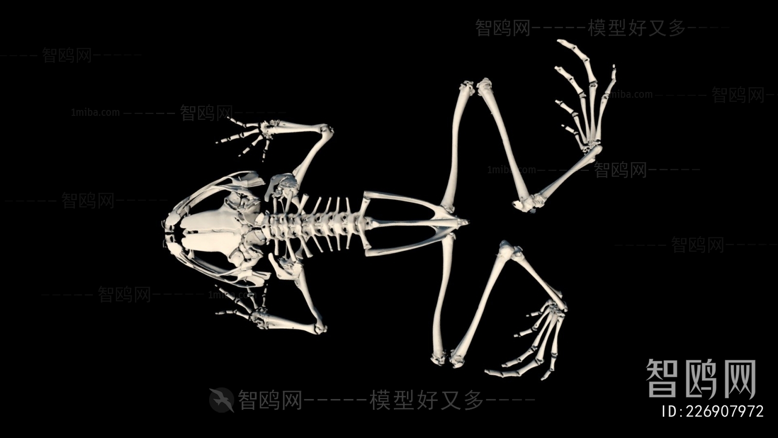 Modern Medical Equipment