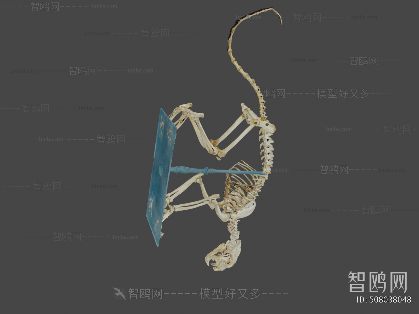Modern Medical Equipment