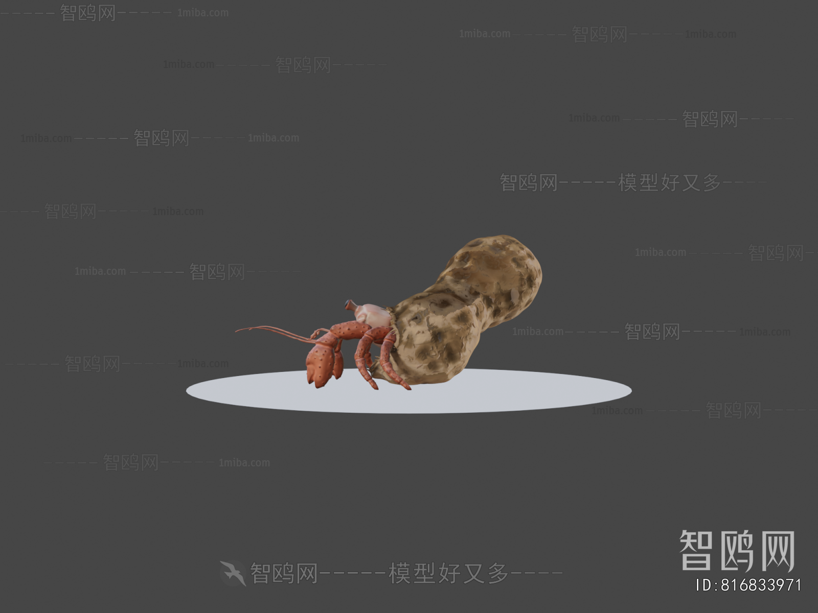 Modern Aquatic Animals