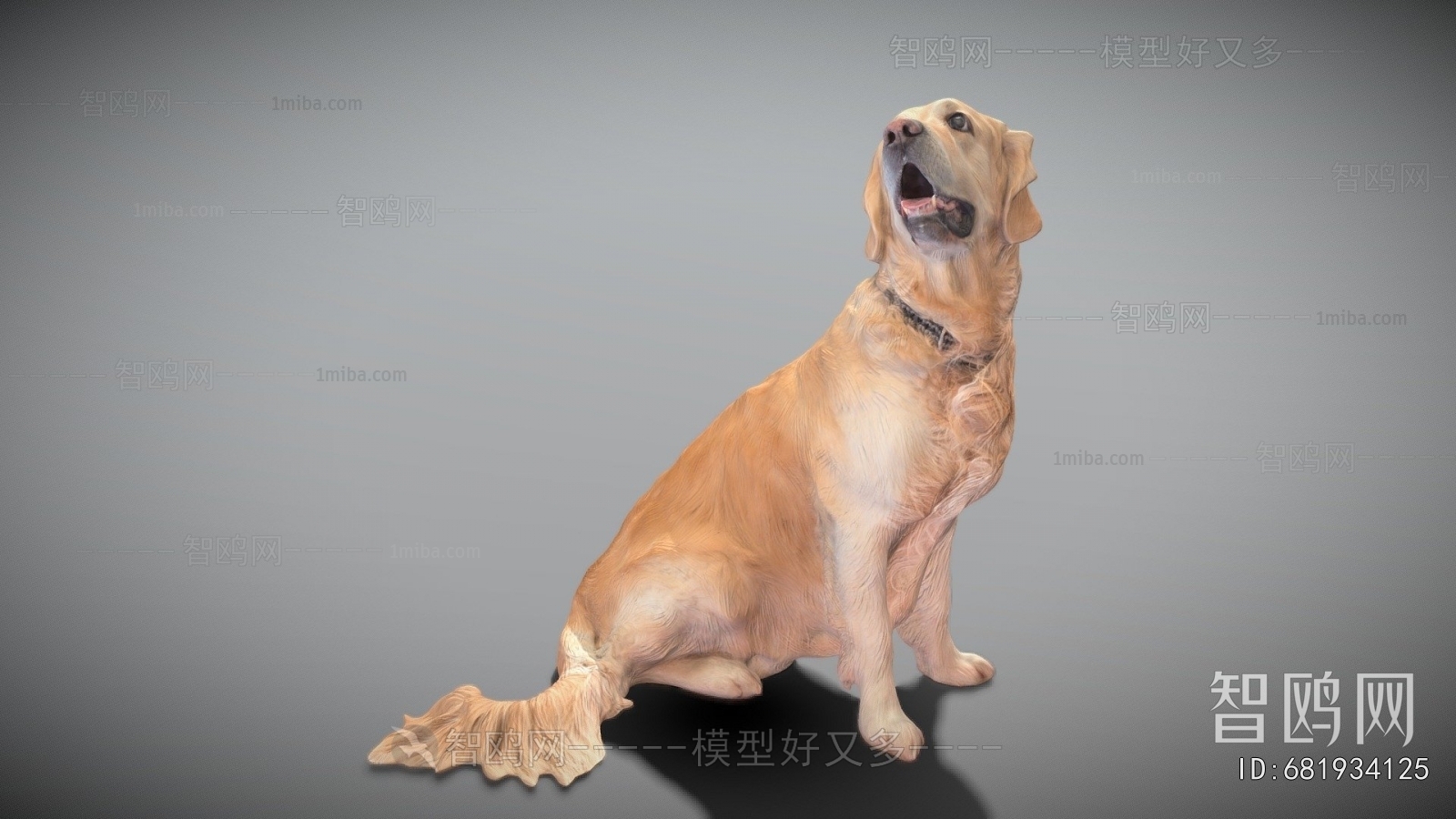 Modern Animal Dog