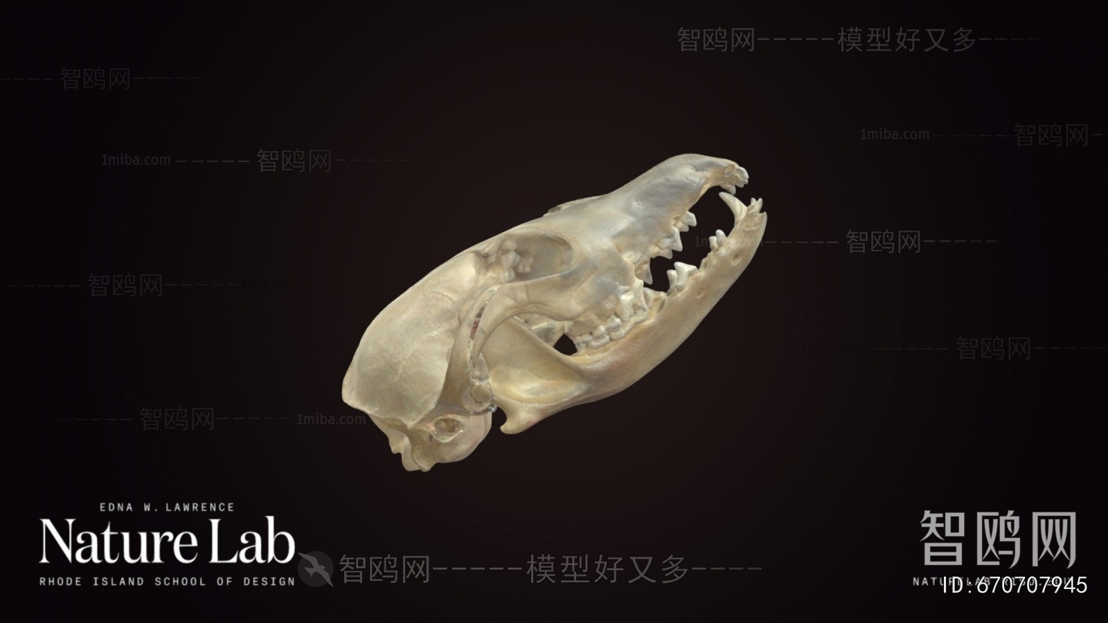 Modern Medical Equipment