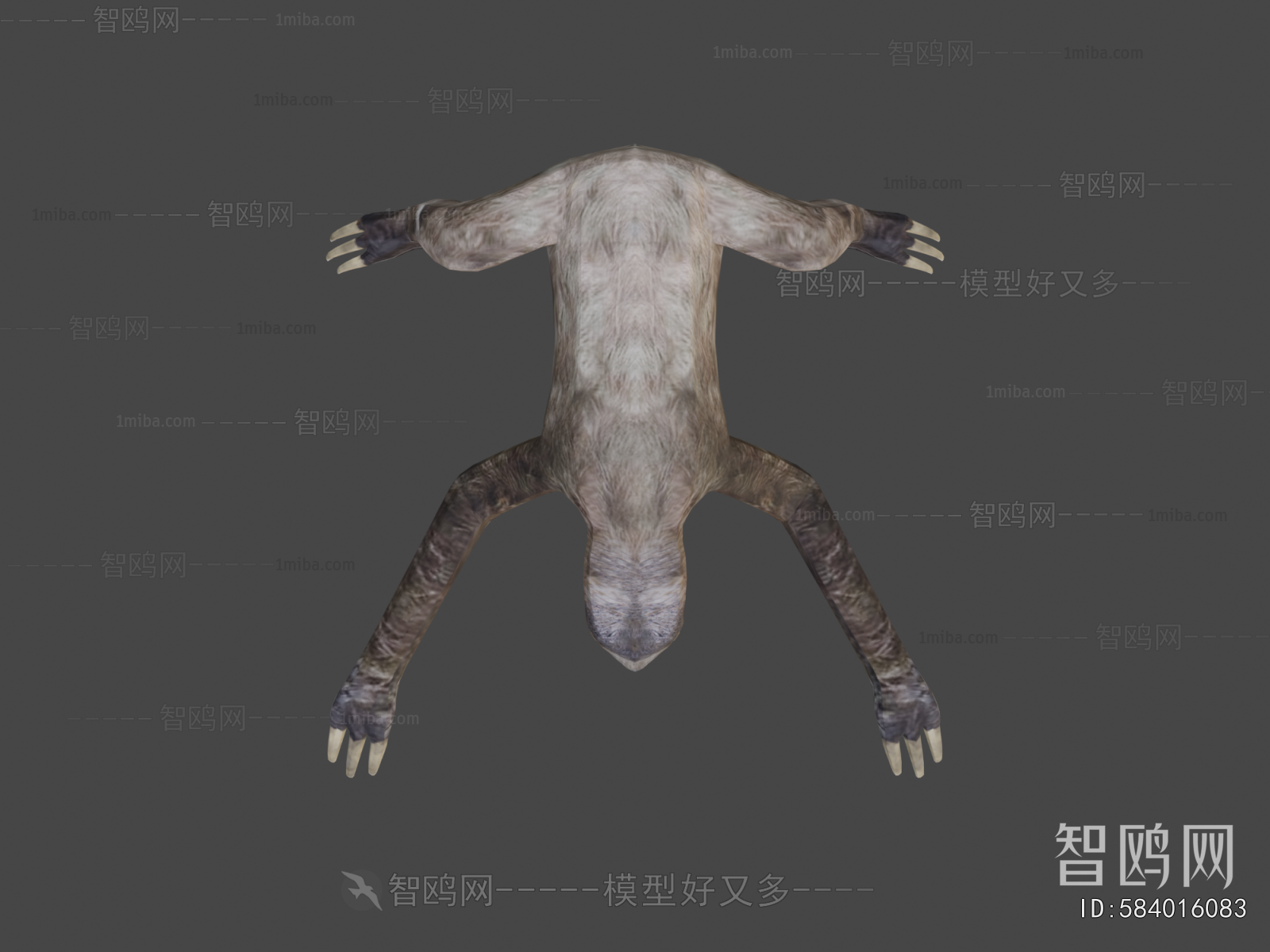 Modern Mammal