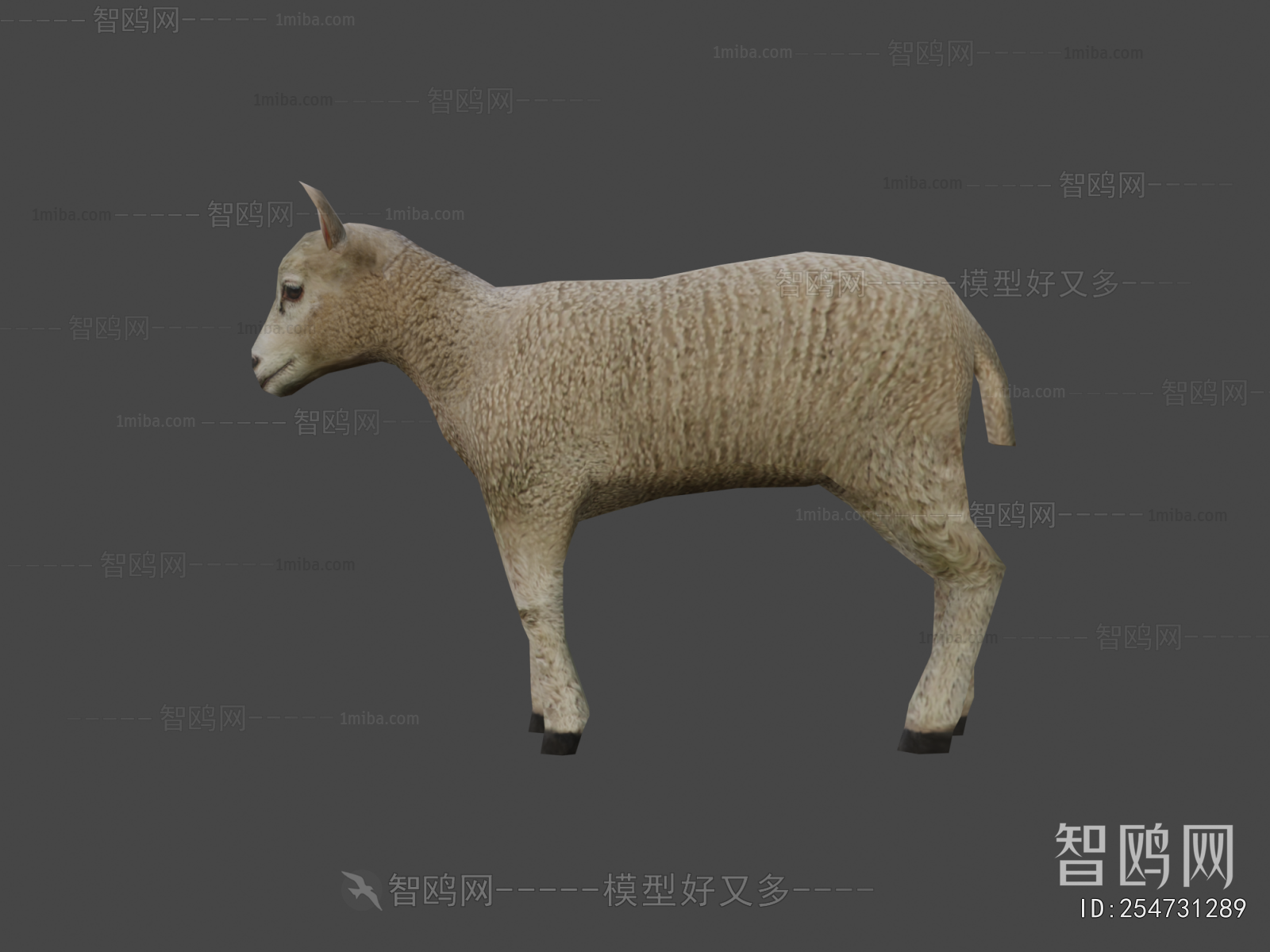 Modern Mammal
