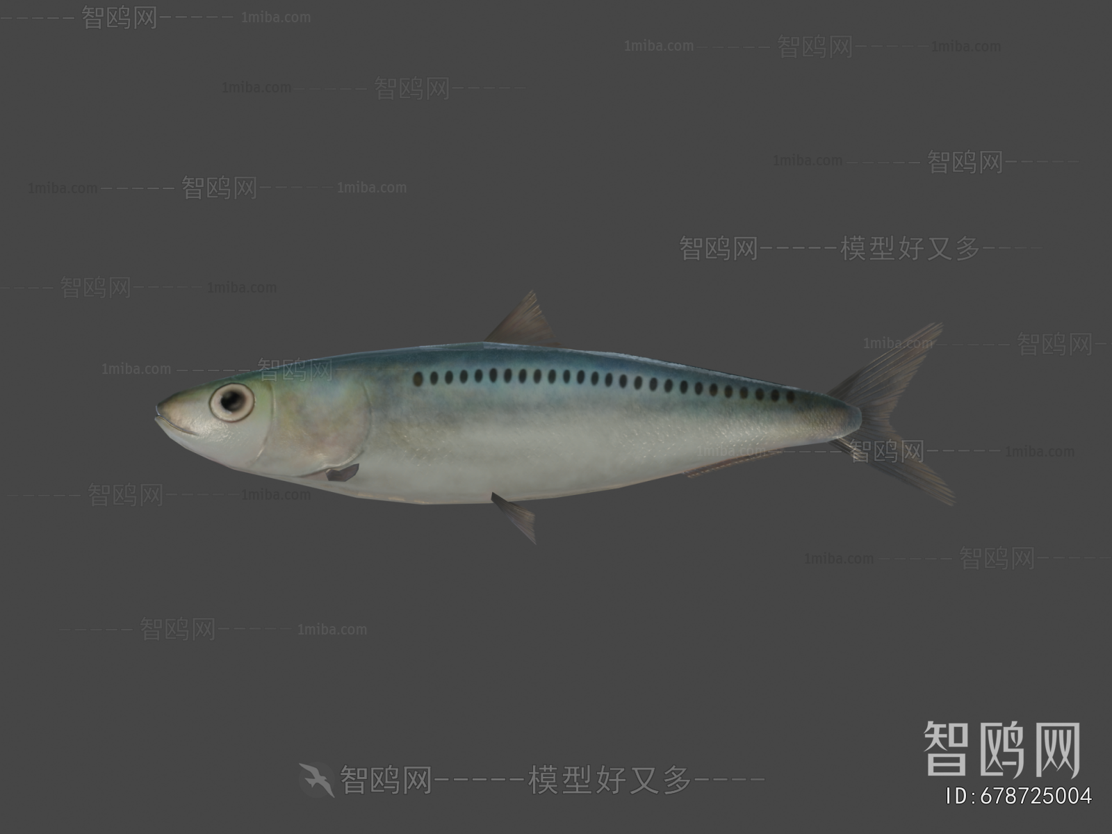 Modern Aquatic Animals