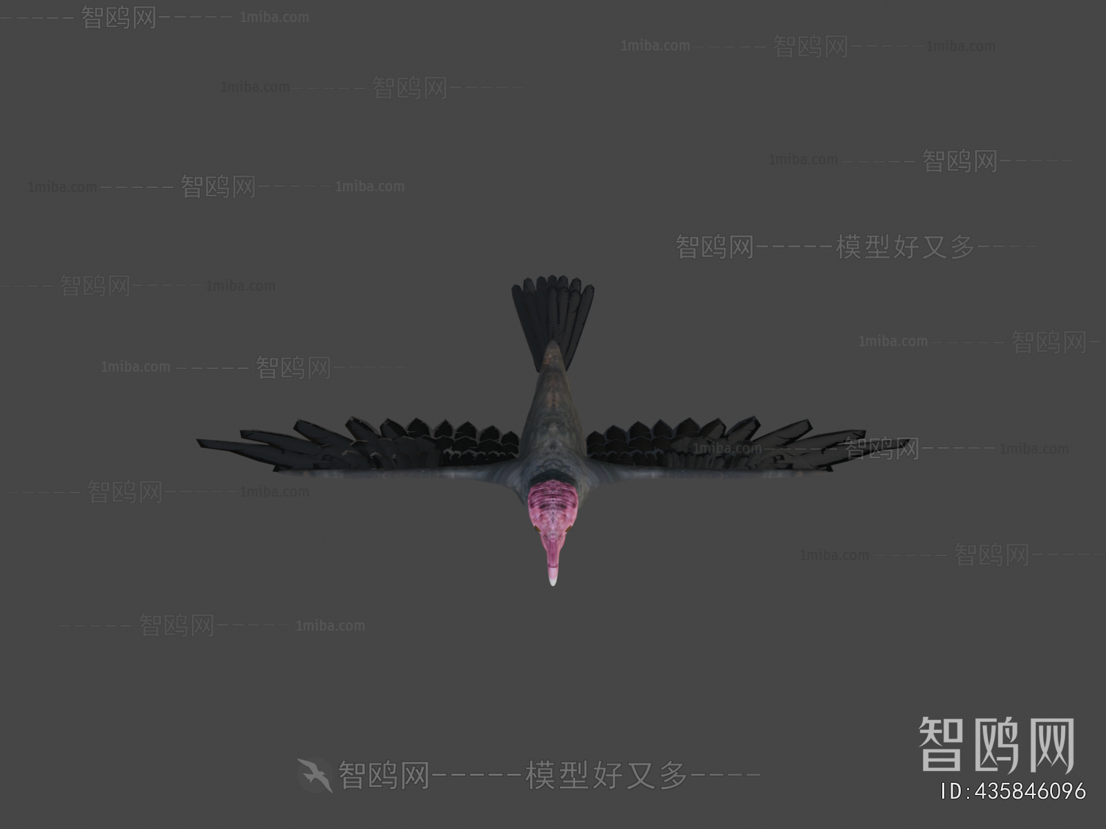 Modern Flying Animals