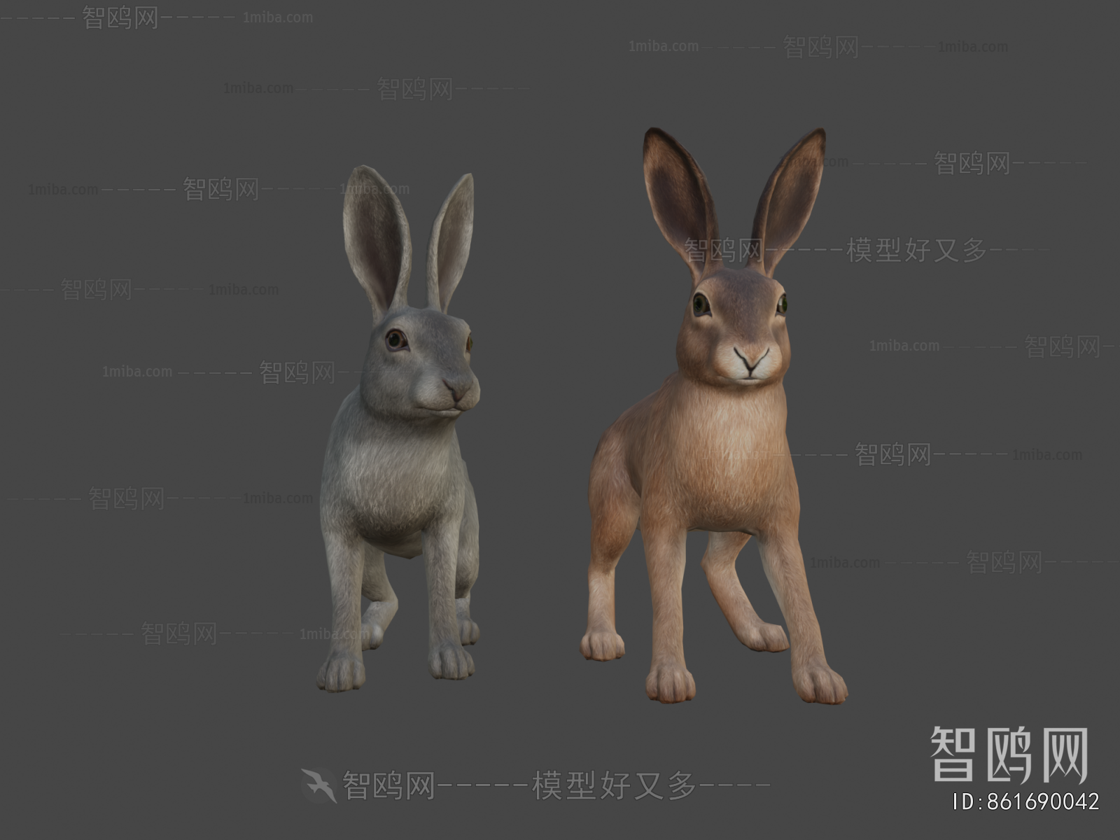 Modern Animal