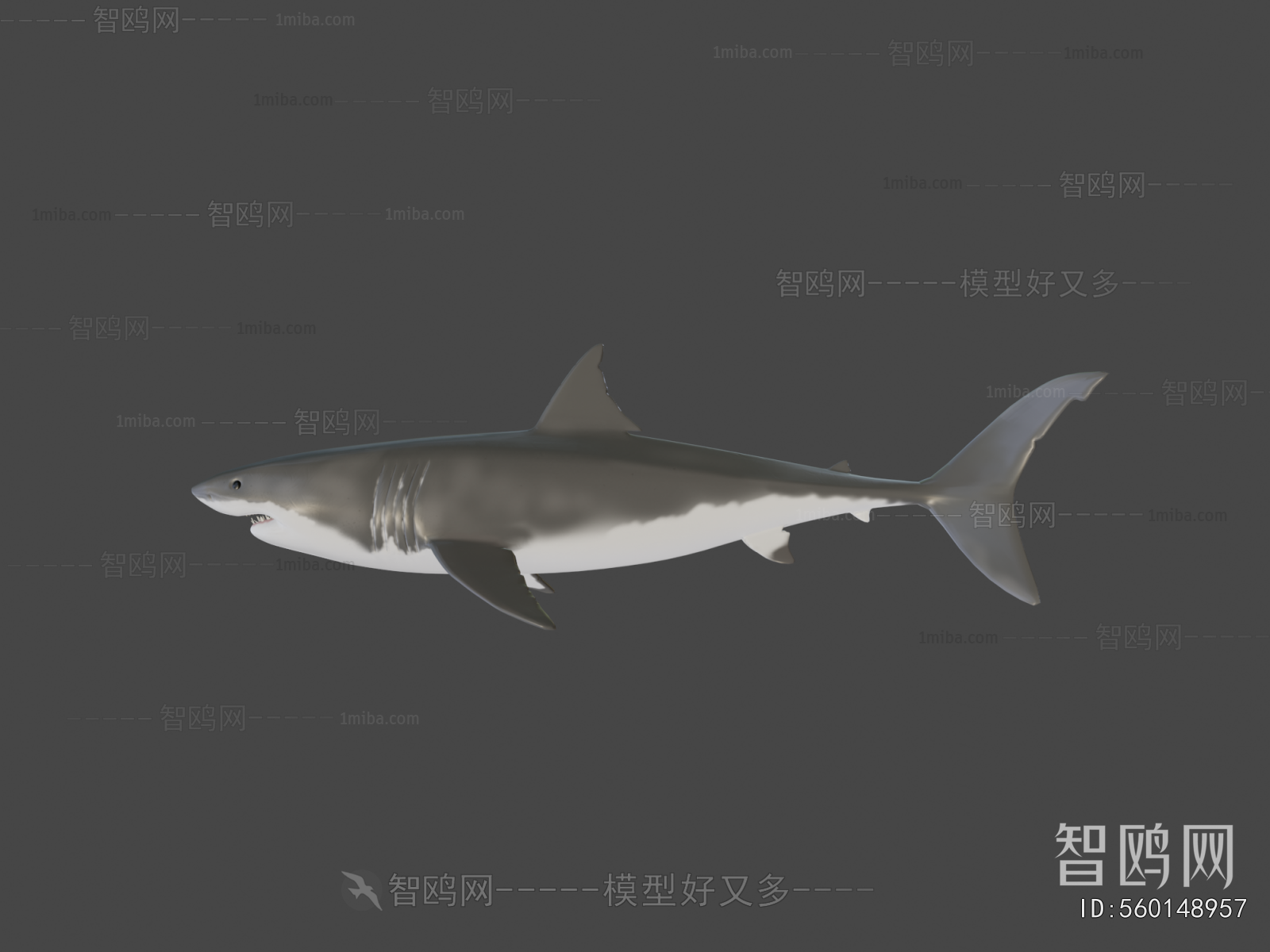 Modern Animal