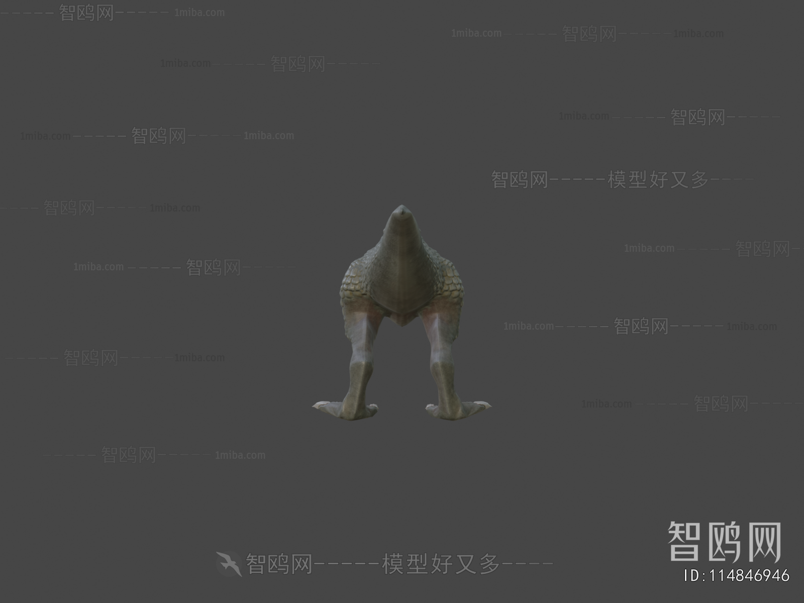 Modern Animal