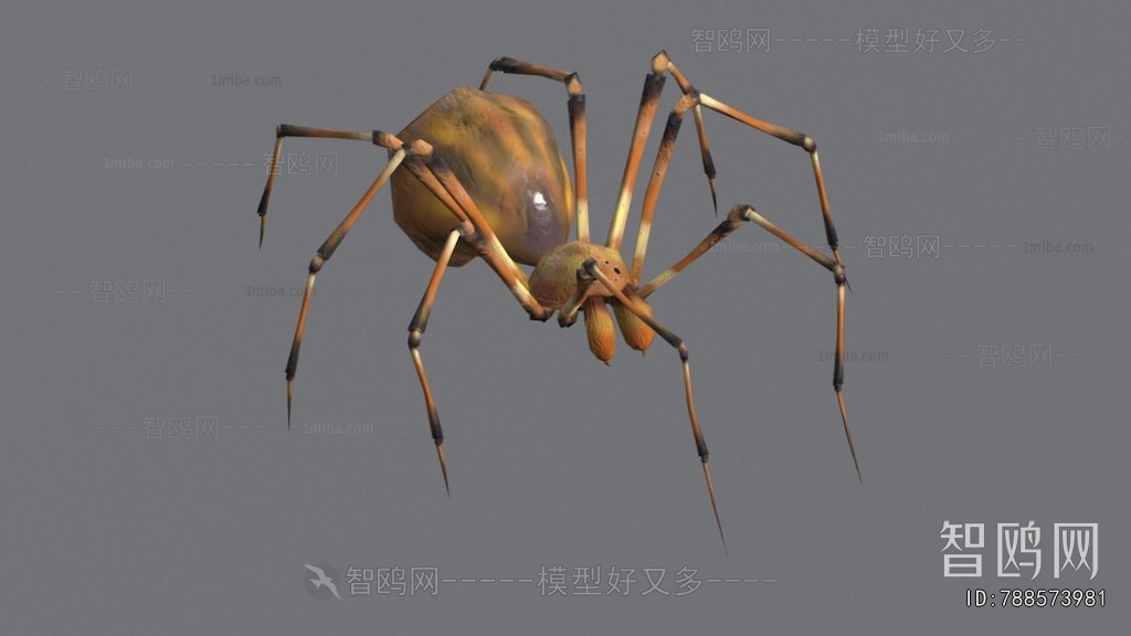 Modern Other Animals