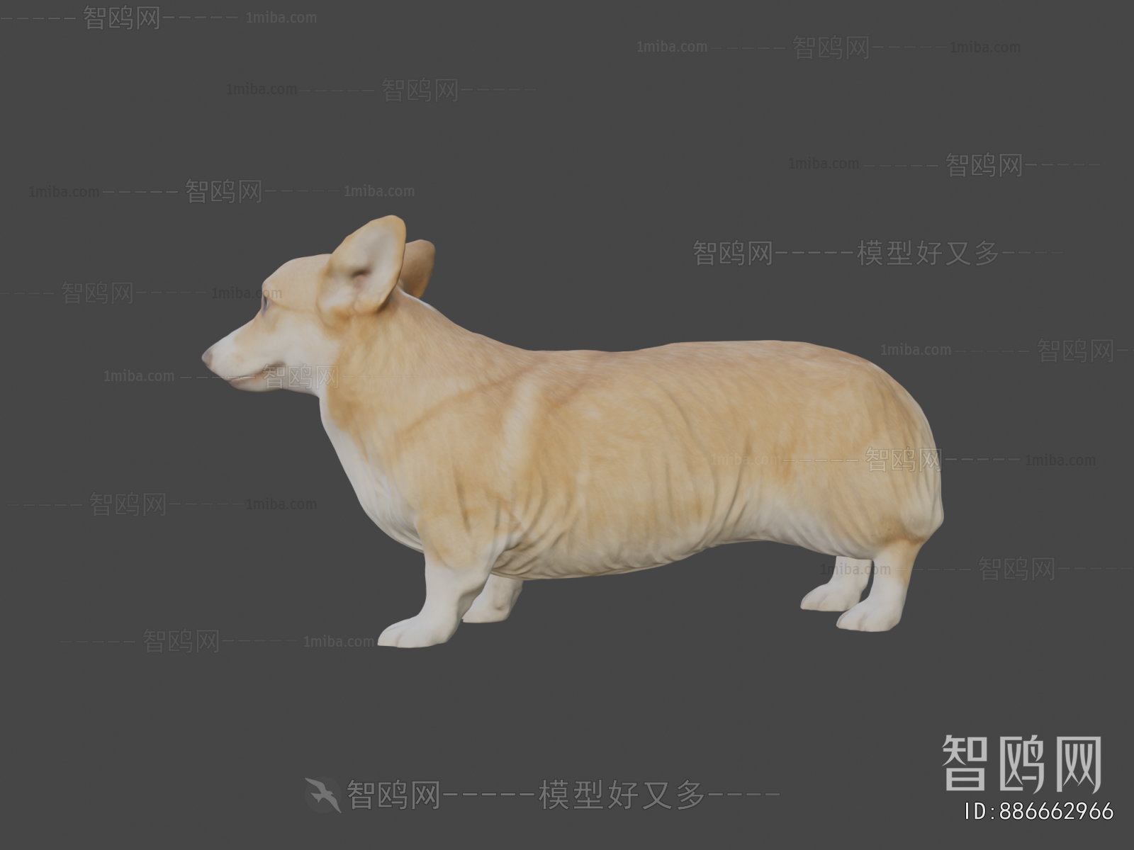 Modern Animal Dog