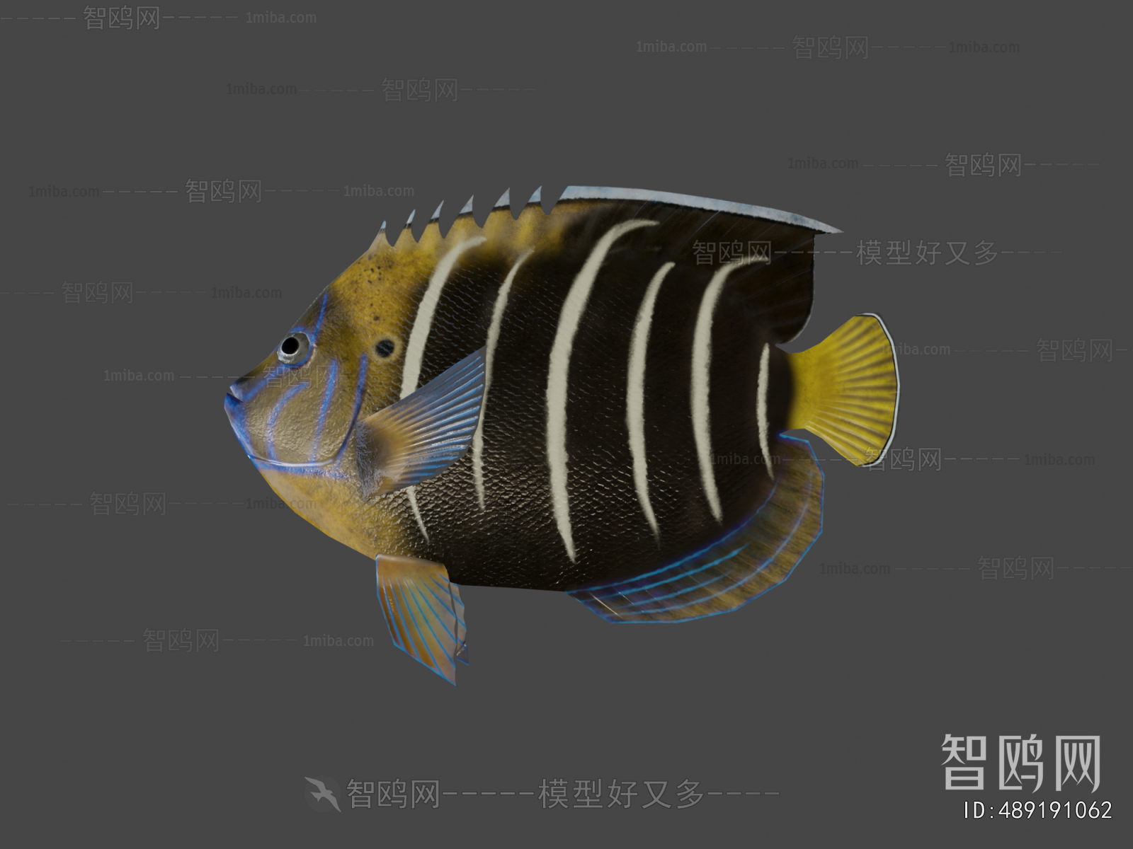 Modern Aquatic Animals