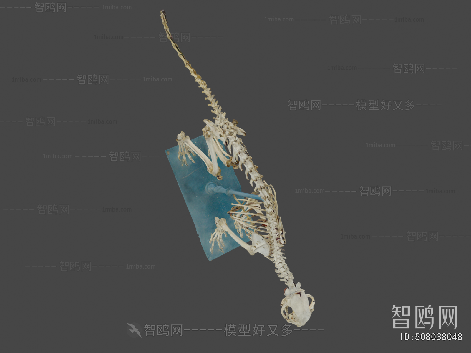 Modern Medical Equipment