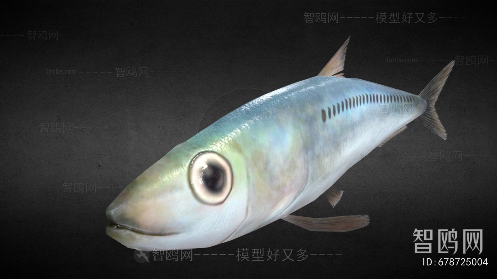 Modern Aquatic Animals